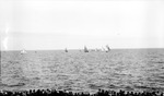 Tampa Bay with boats-mostly sailboats--and a line of spectators by Francis G. Wagner and Nelson Poynter Memorial Library