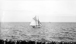 Tampa Bay with sailboat, other boats in background, and a line of spectators by Francis G. Wagner and Nelson Poynter Memorial Library
