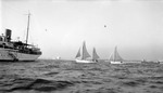 Two sailboats and passengers and larger boat on Tampa Bay, land in background by Francis G. Wagner and Nelson Poynter Memorial Library