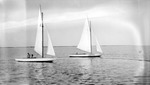Two sailboats and passengers on Tampa Bay by Francis G. Wagner and Nelson Poynter Memorial Library
