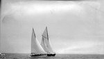 Two sailboats on Tampa Bay by Francis G. Wagner and Nelson Poynter Memorial Library