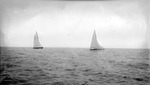 Two sailboats on Tampa Bay by Francis G. Wagner and Nelson Poynter Memorial Library