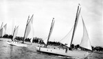 Three sailboats and passengers with busy background including Vinoy Hotel by Francis G. Wagner and Nelson Poynter Memorial Library