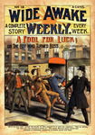 A fool for luck, or, The boy who turned boss by Fred Warburton