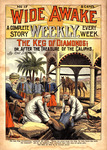 The keg of diamonds, or, After the treasure of the caliphs by Tom Dawson