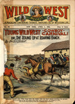 Young wild west Cowboy carnival, or, the round up at roaring ranch by An Old Scout