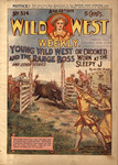 Young Wild West and the range boss, or, Crooked work at the Sleepy J
