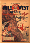 Young Wild West and the Mad Miner, or, Arietta and the secret of the cliffs by An Old Scout