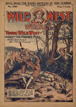 Young Wild West and Little Moccasin, or, Arietta's Pawnee peril by An Old Scout