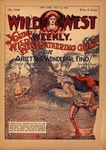 Young Wild West gathering gold, or, Arietta's wonderful find by An Old Scout