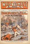 Young Wild West's rifle rangers, or, Trailing a bandit king