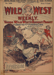 Young Wild West's richest panout, or, Arietta and the hidden cave by An Old Scout