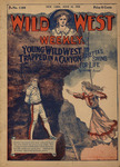 Young Wild West trapped in a canyon, or, Arietta's swing for life