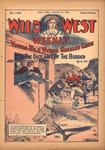 Young Wild West's greaser chase, or, The outlaws of the border by An Old Scout