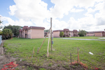 Tampa Park Apartments with Open Lawn, Tampa, Florida