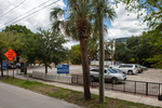 Parking Lot with Palm Trees, Tampa, Florida