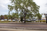 Parking Lot behind Former La Tropicana Café, Tampa, Florida