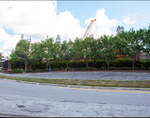 Landscaped Area Near Interstate 4 Overpass Construction, Tampa, Florida